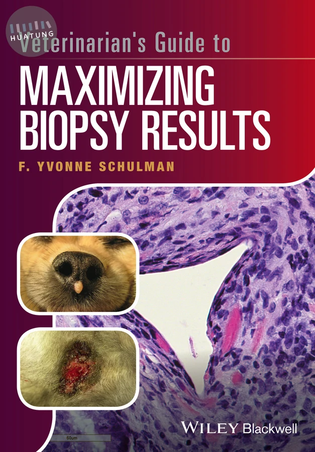 Veterinarian's Guide to Maximizing Biopsy Results 