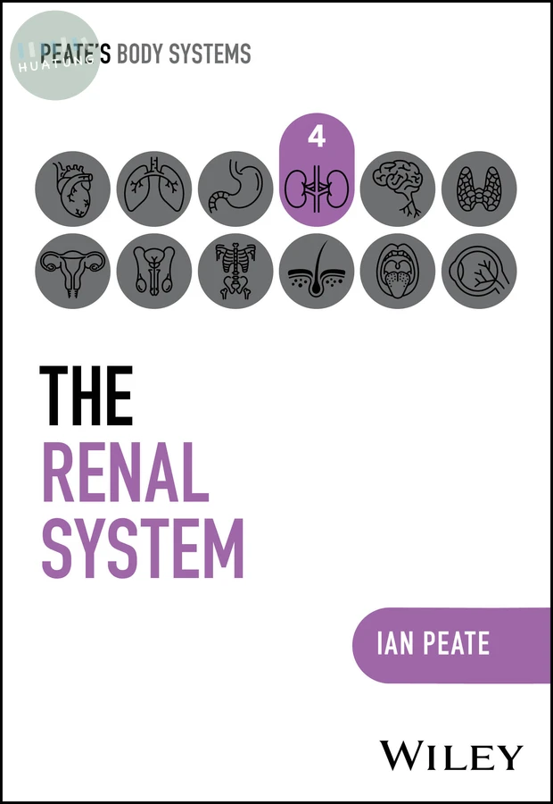 The Renal System 
