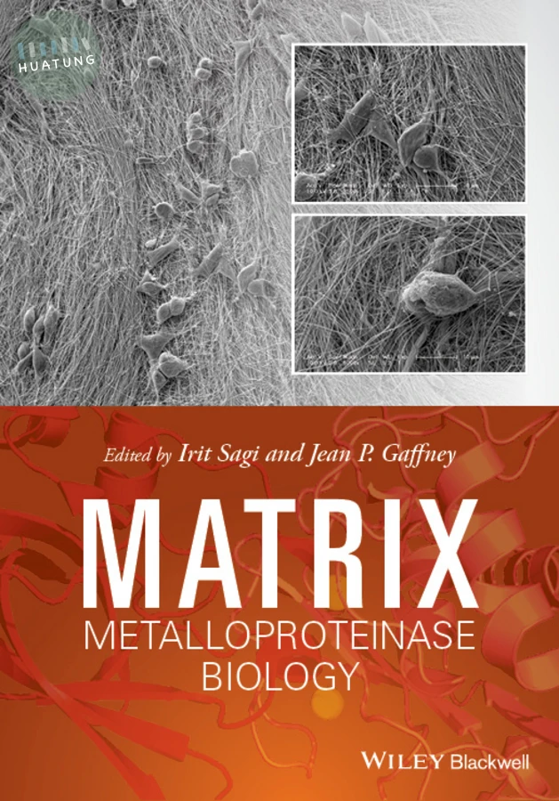 Matrix Metalloproteinase Biology 