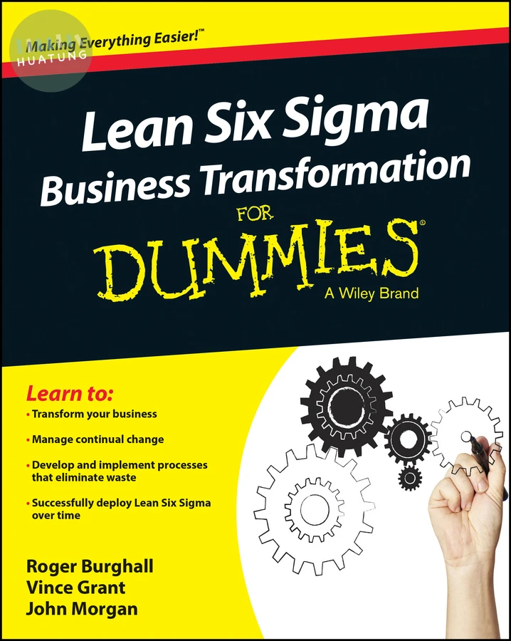 Lean Six Sigma Business Transformation For Dummies 