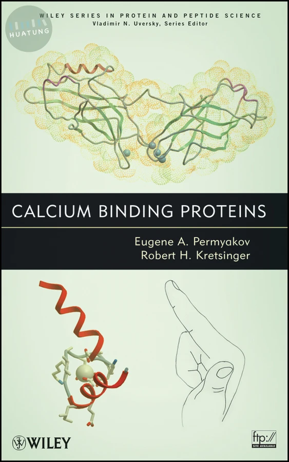 Calcium Binding Proteins 