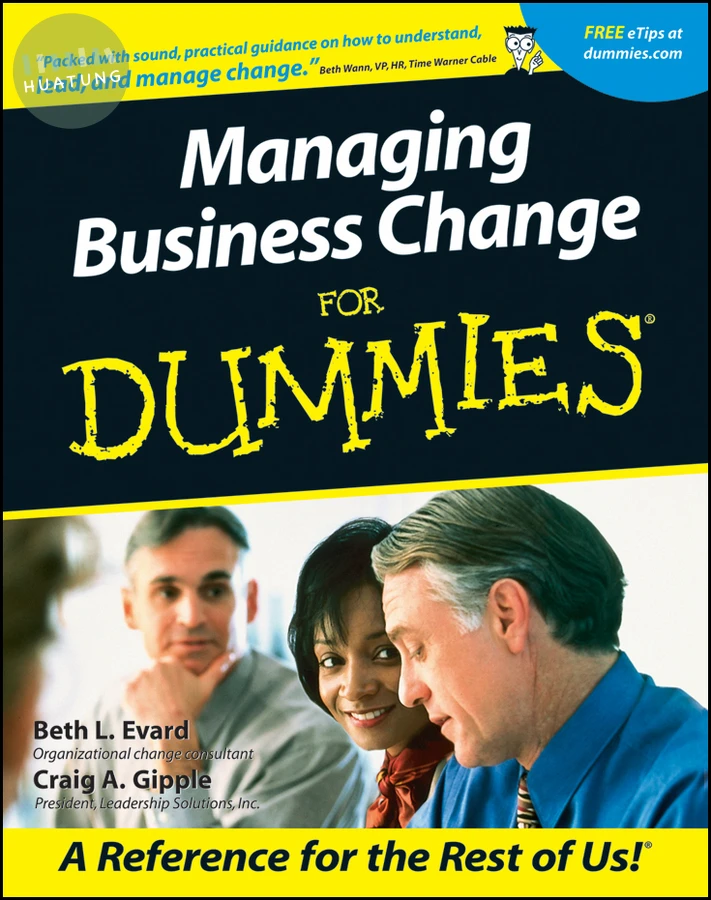 Managing Business Change For Dummies 