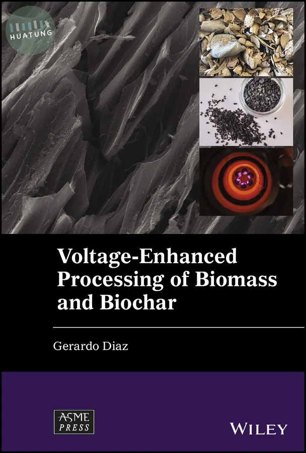 Voltage-Enhanced Processing of Biomass and Biochar 