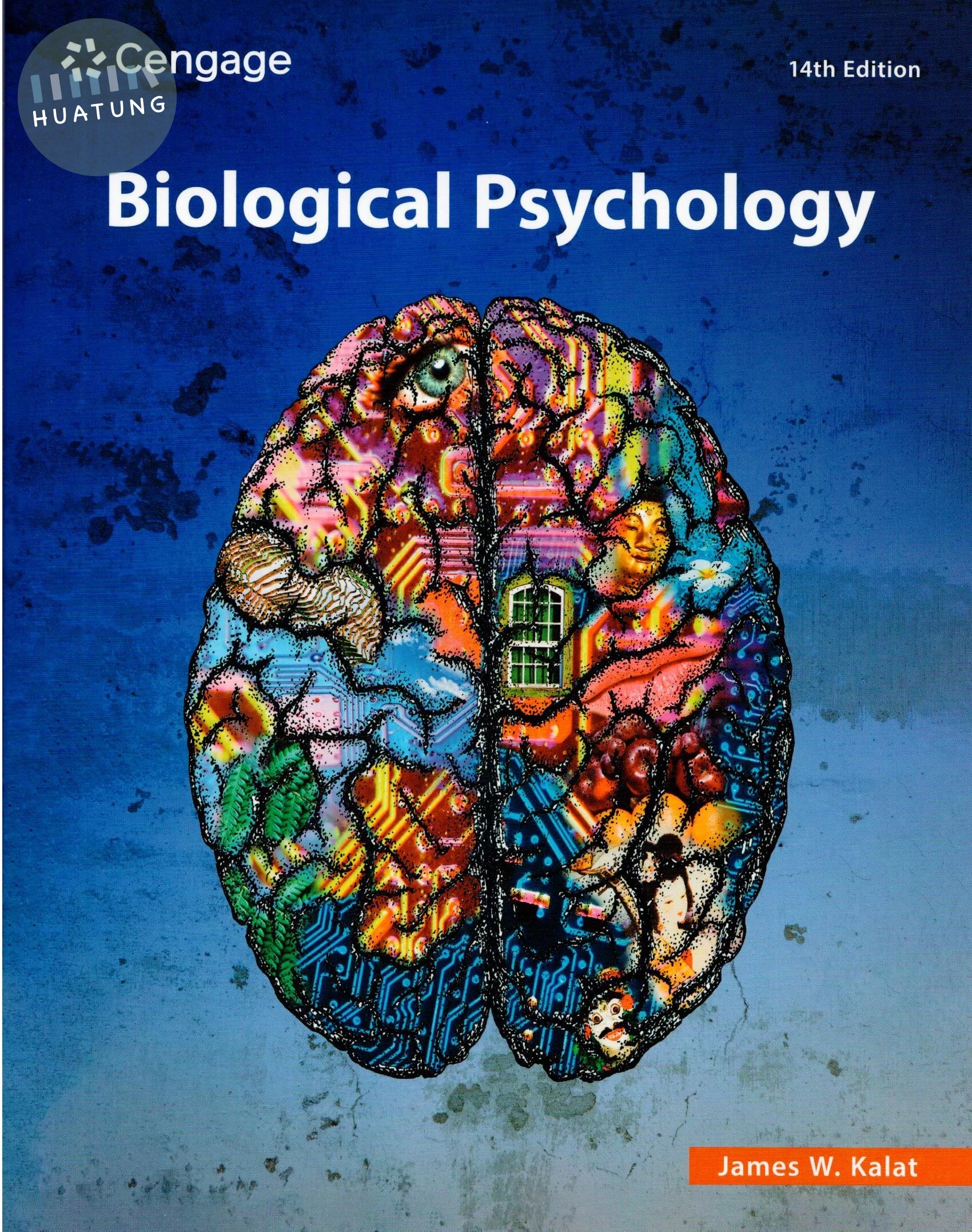 Biological Psychology (14版)
