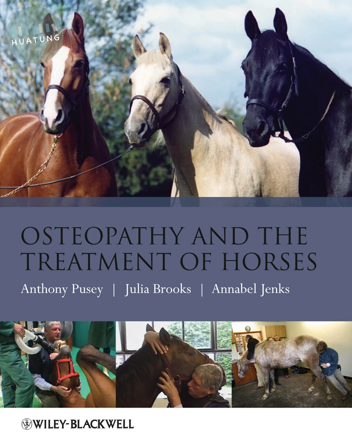 Osteopathy and the Treatment of Horses 