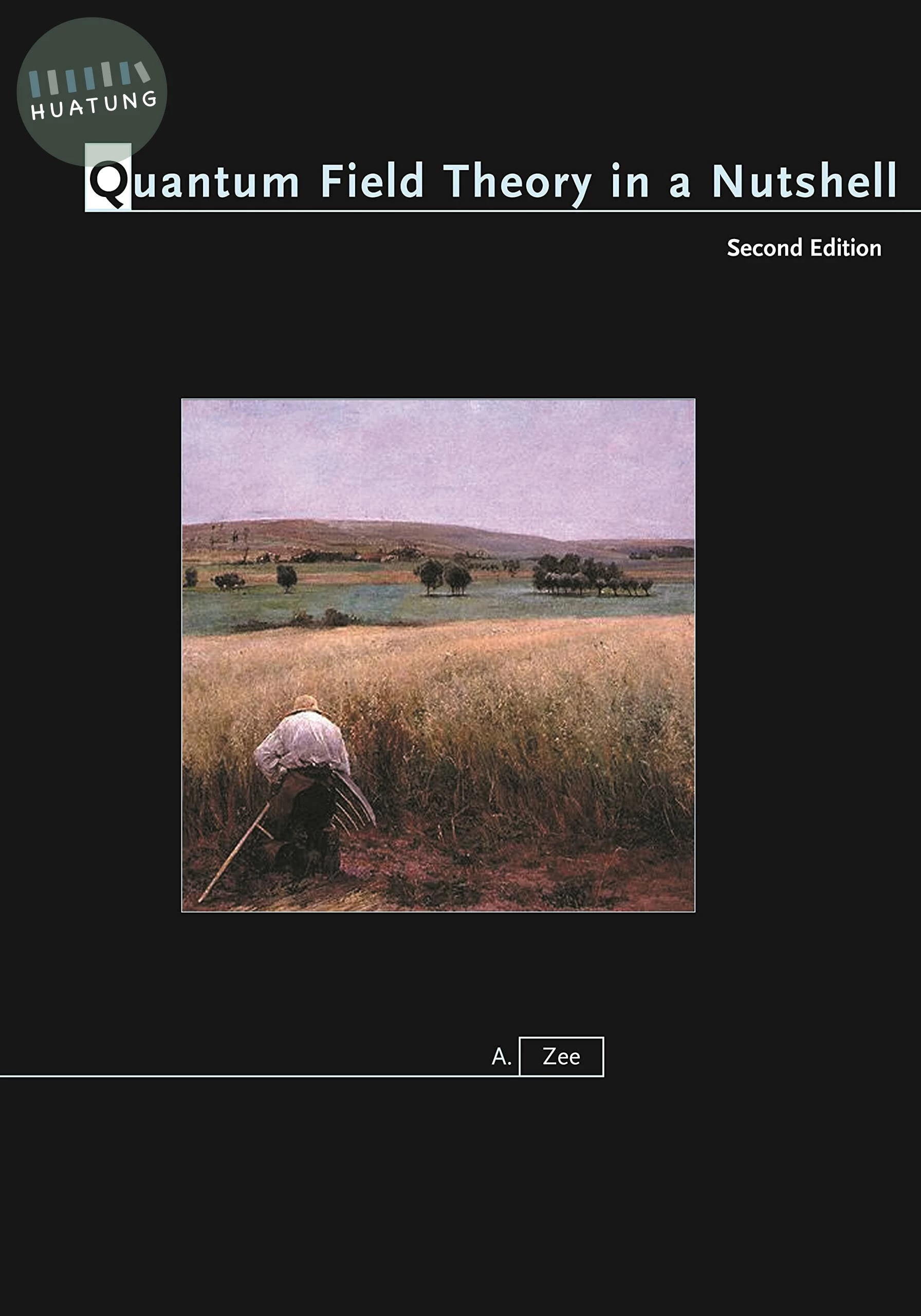 Quantum Field Theory in a Nutshell (2版)