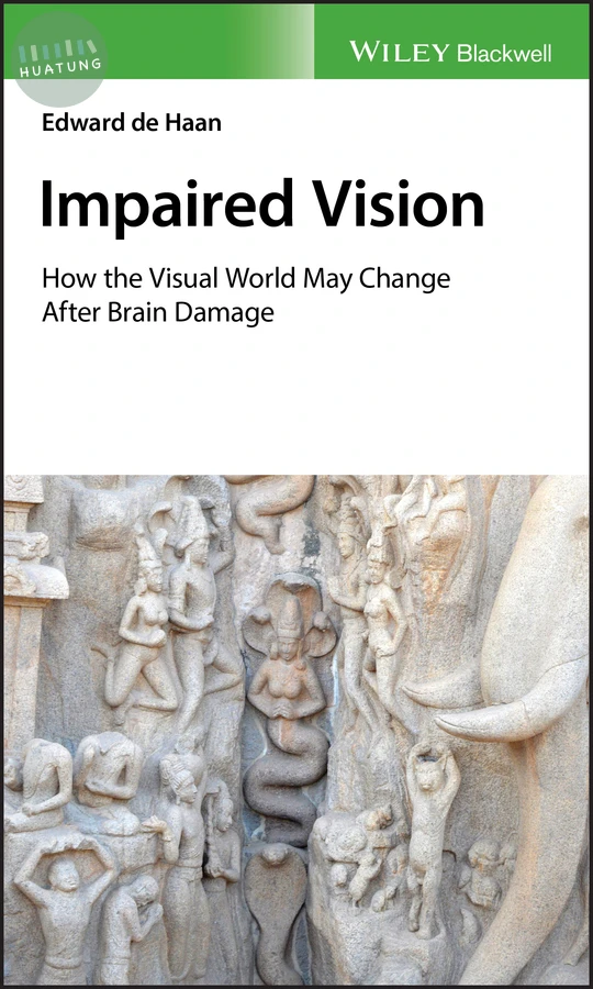 Impaired Vision 