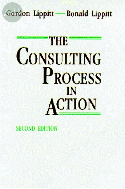 The Consulting Process in Action 