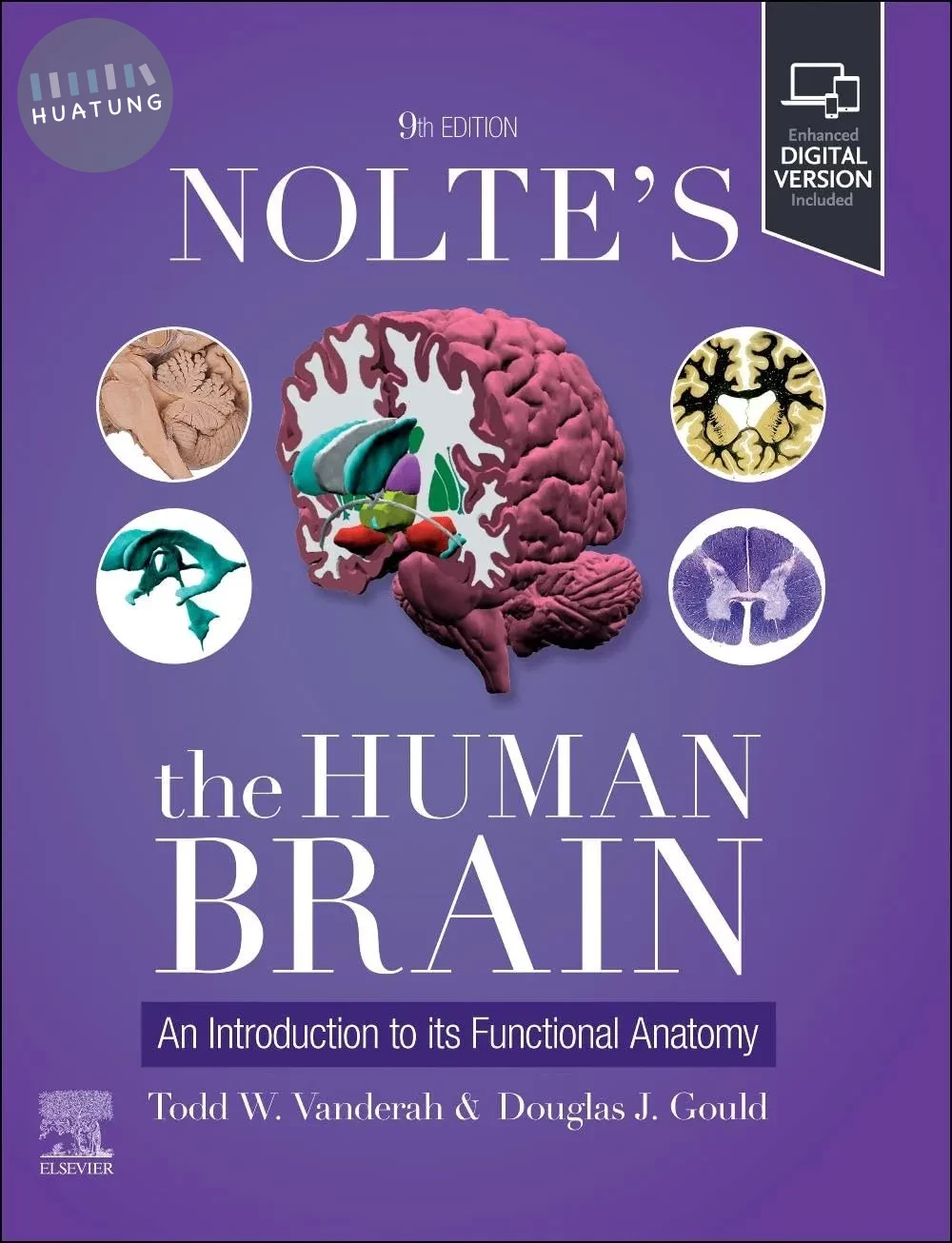 Nolte's The Human Brain: An Introduction to its Functional Anatomy 