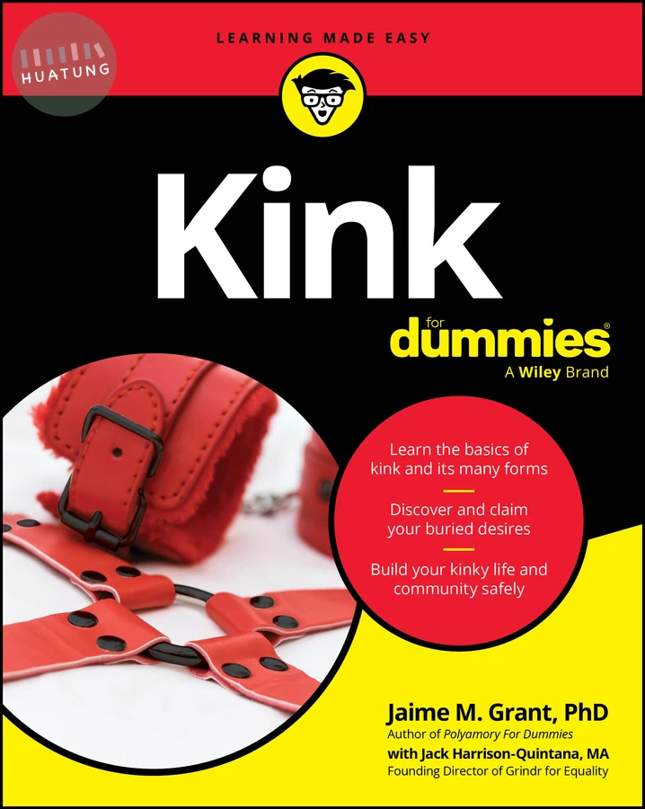 Kink For Dummies 