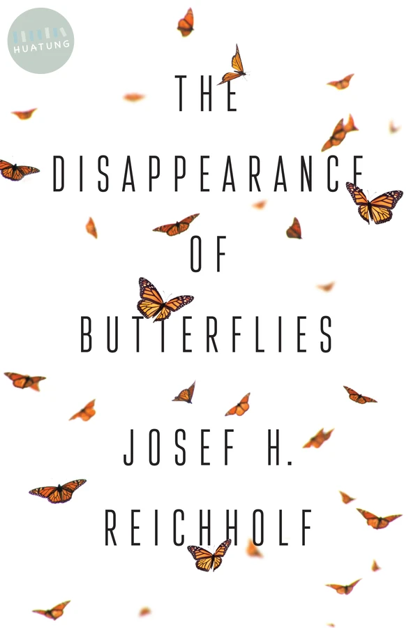 The Disappearance of Butterflies 