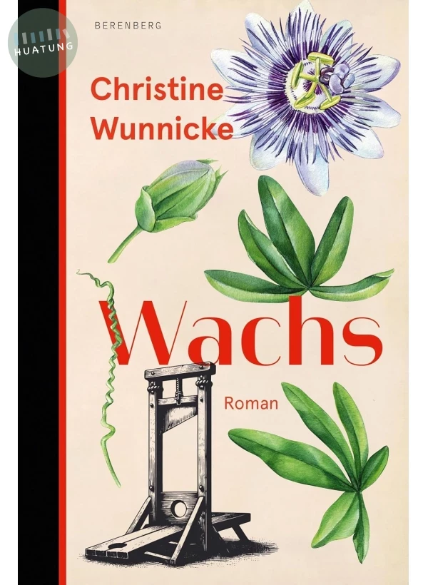 Wachs 蠟之姿 #2025 德國圖書獎 Shortlist 