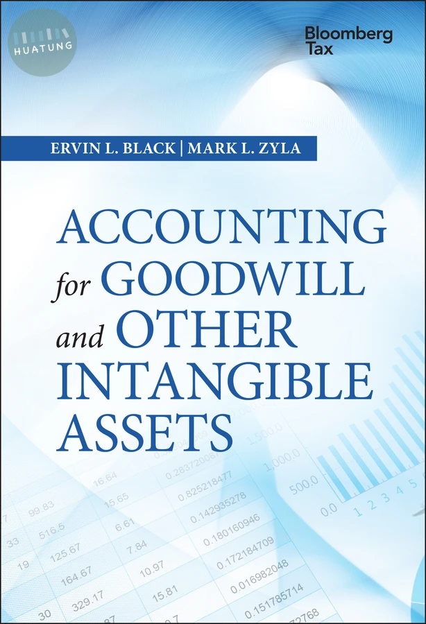 Accounting for Goodwill and Other Intangible Assets 