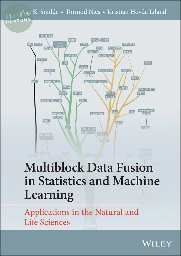 Multiblock Data Fusion in Statistics and Machine Learning 