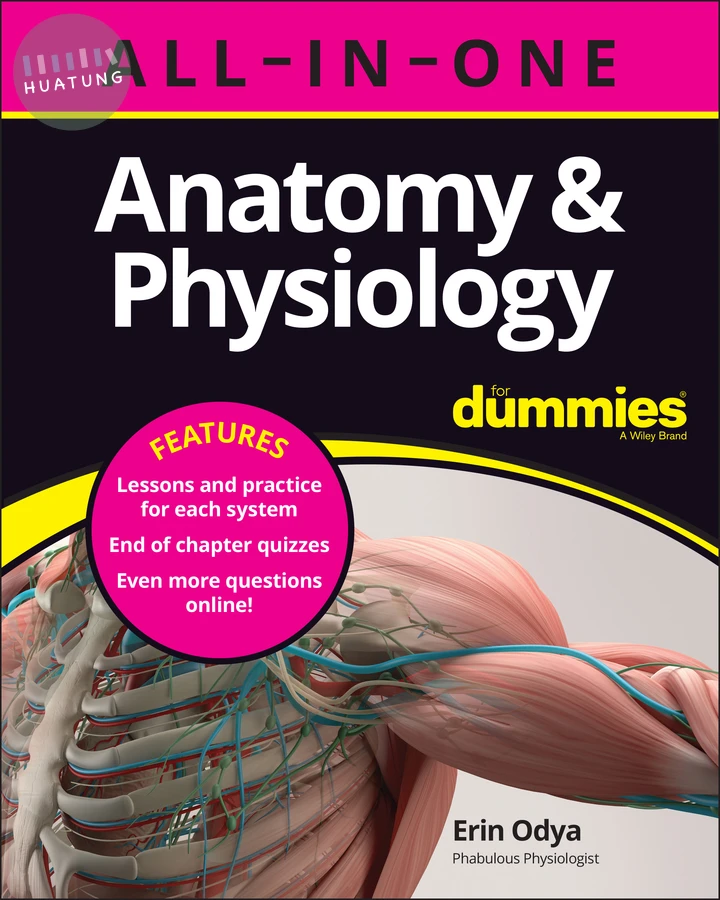 Anatomy & Physiology All-in-One For Dummies (+ Chapter Quizzes Online) 