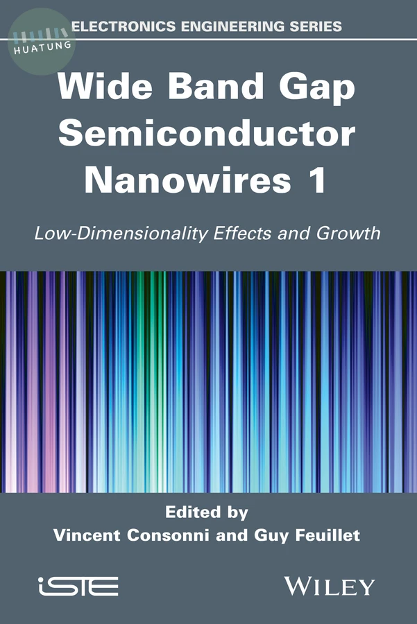 Wide Band Gap Semiconductor Nanowires 1 