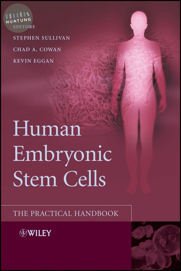 Human Embryonic Stem Cells 