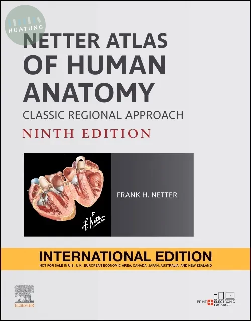 Netter Atlas of Human Anatomy: Classic Regional Approach (9版)