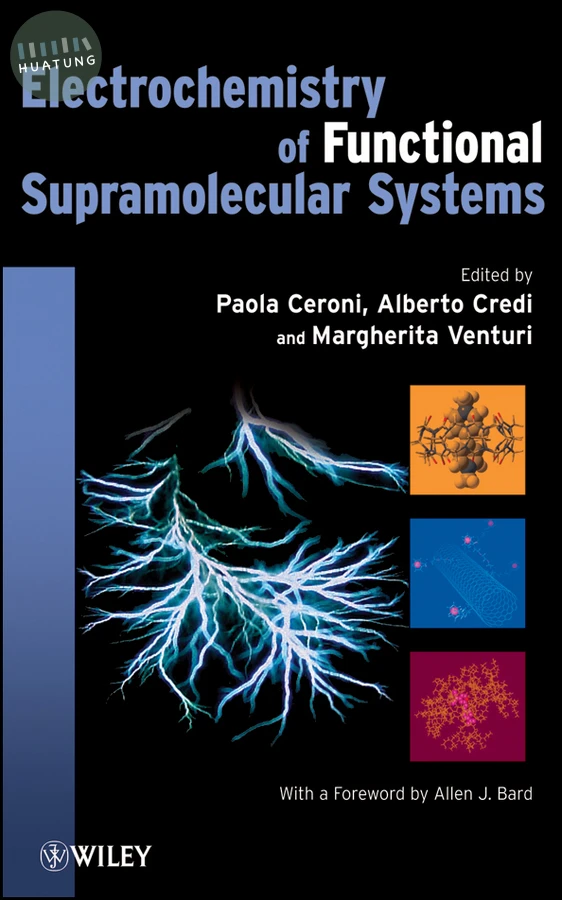 Electrochemistry of Functional Supramolecular Systems 