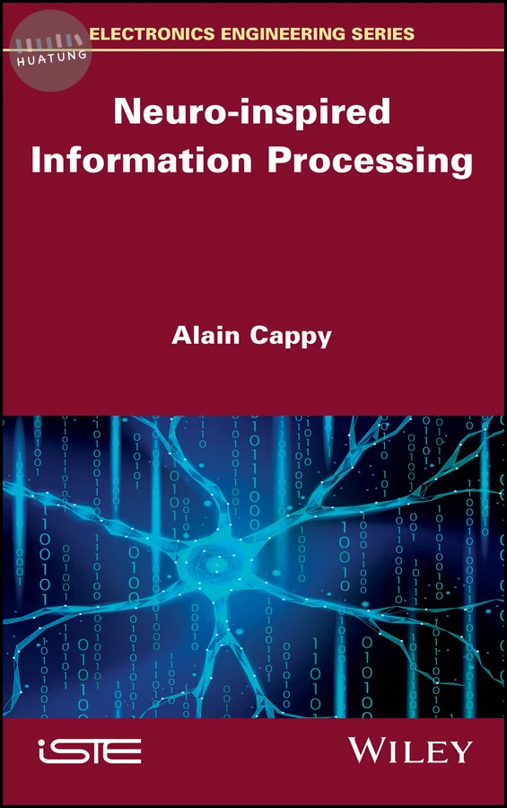 Neuro-inspired Information Processing 