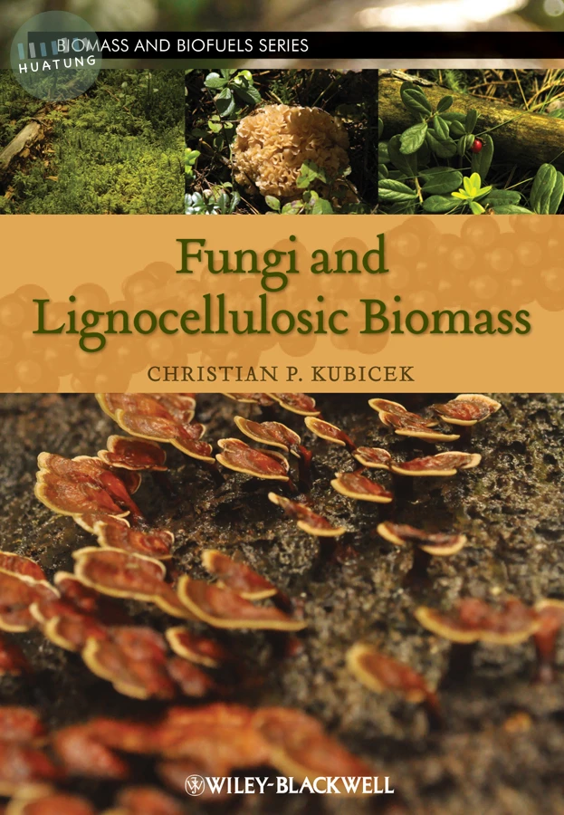 Fungi and Lignocellulosic Biomass 