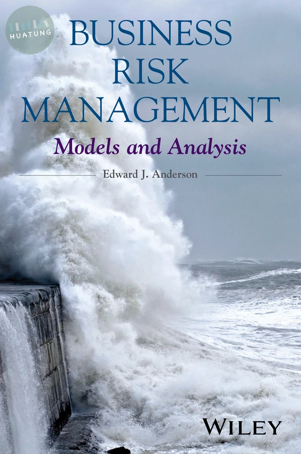 Business Risk Management 