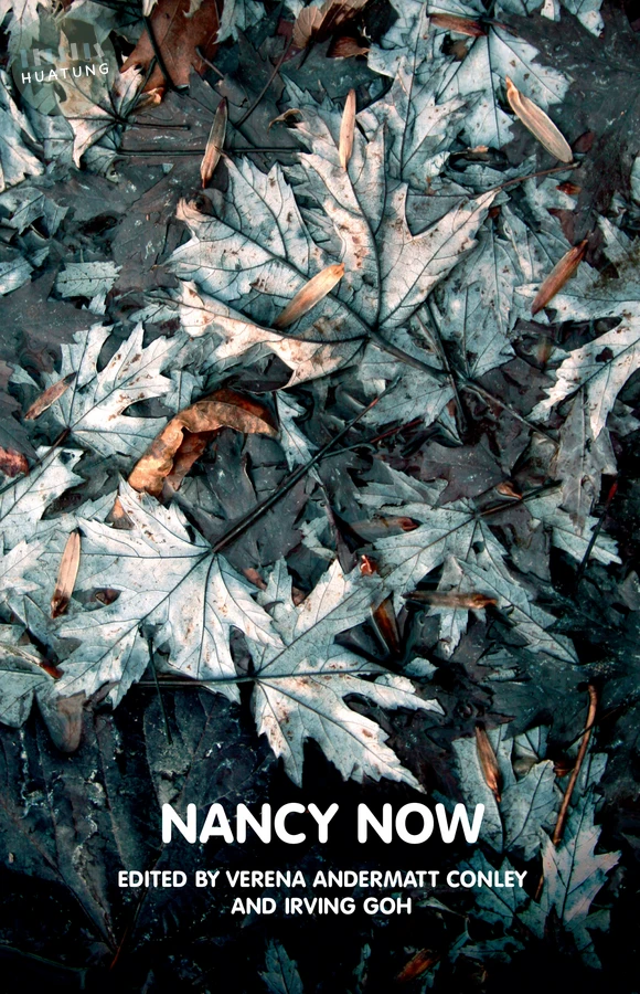 Nancy Now 