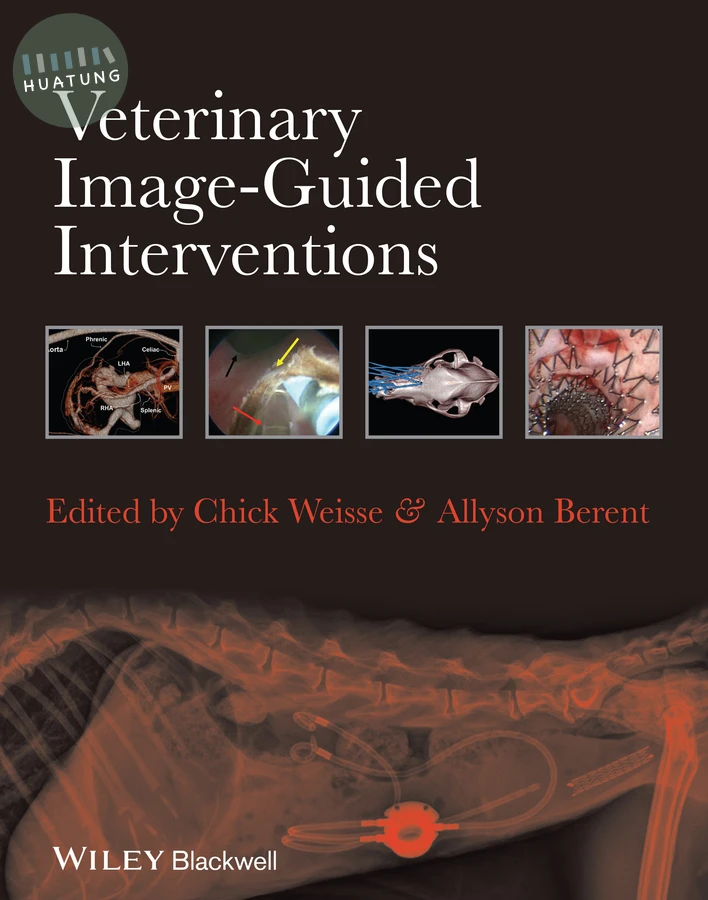 Veterinary Image-Guided Interventions 
