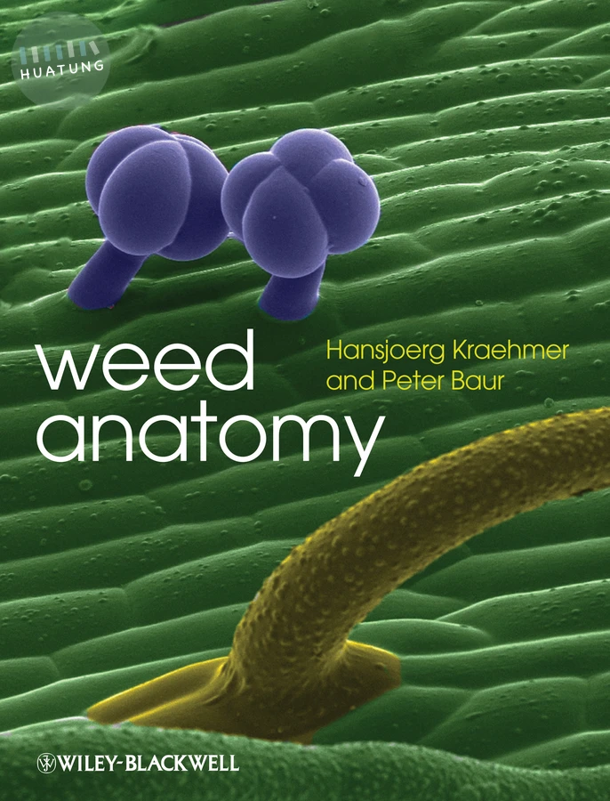 Weed Anatomy 