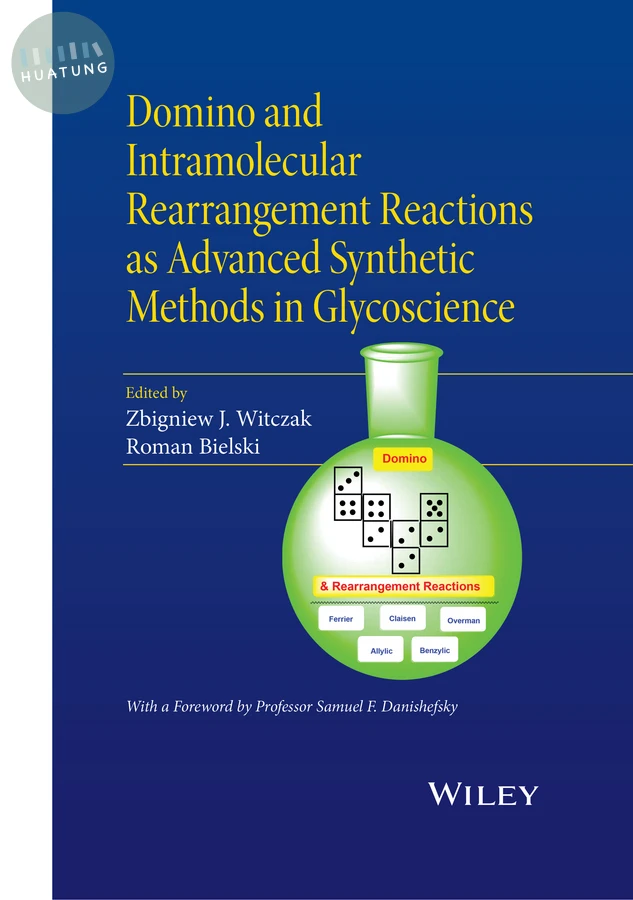 Domino and Intramolecular Rearrangement Reactions as Advanced Synthetic Methods in Glycoscience 