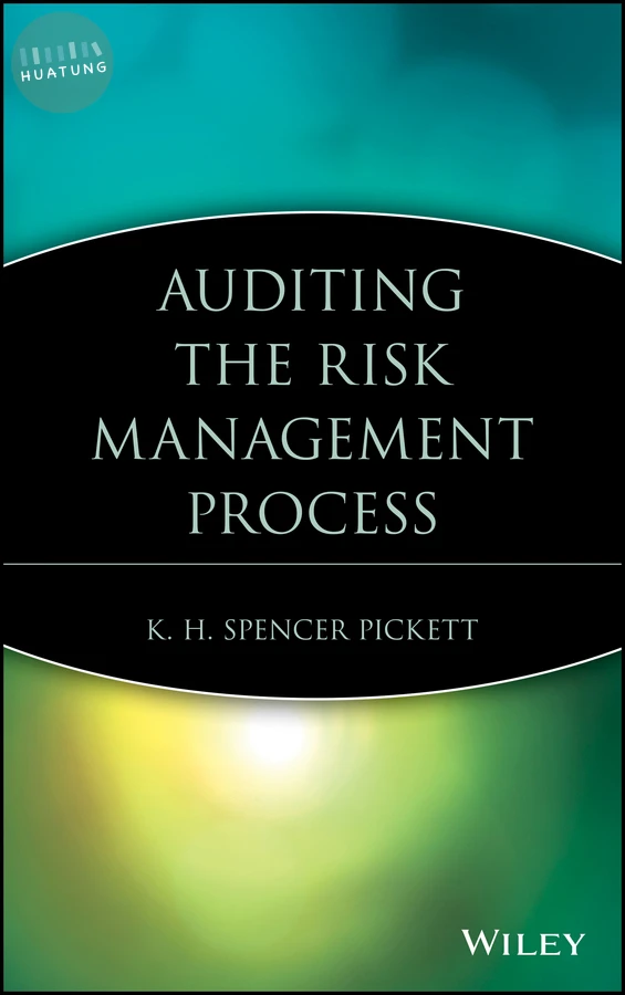 Auditing the Risk Management Process 