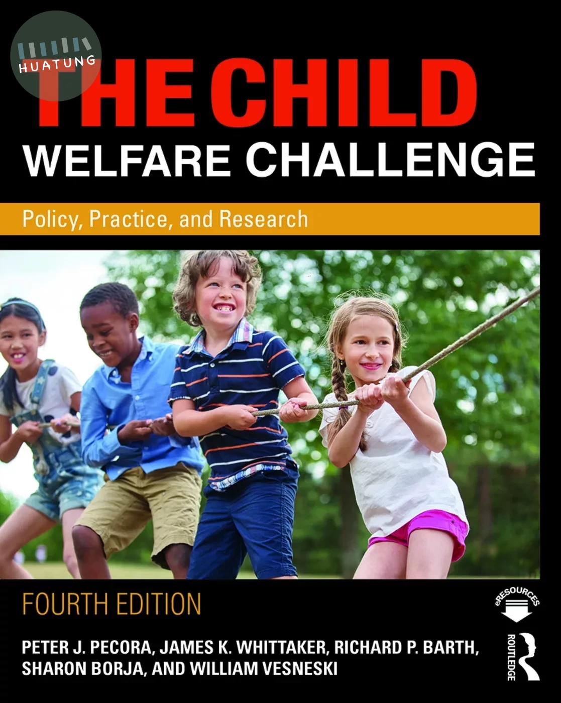 The Child Welfare Challenge (4版)