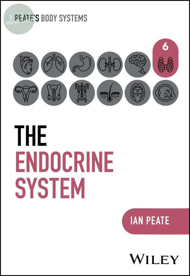 The Endocrine System 