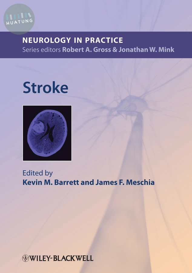 Stroke 