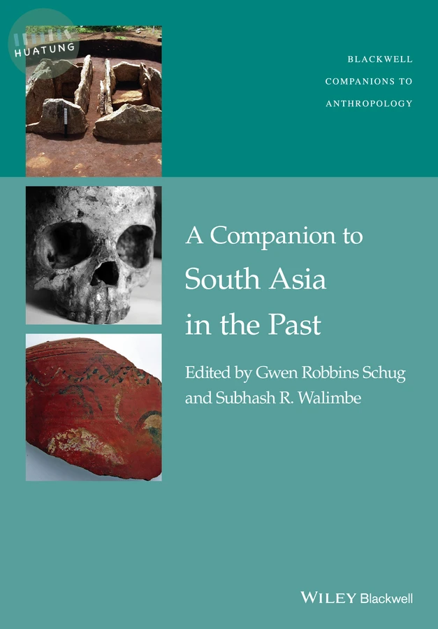 A Companion to South Asia in the Past 