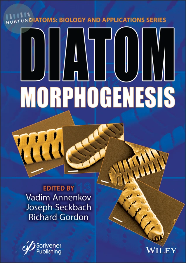 Diatom Morphogenesis 