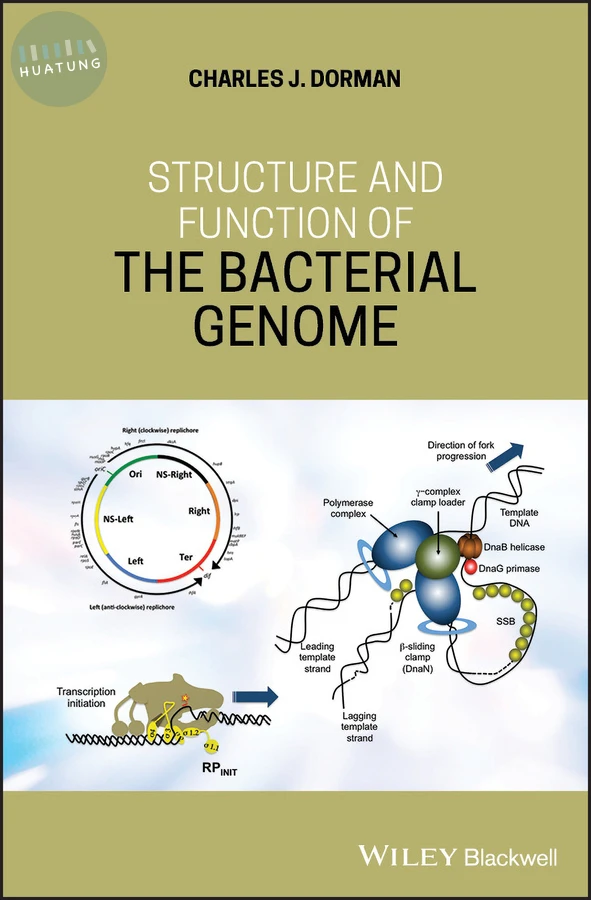 Structure and Function of the Bacterial Genome 