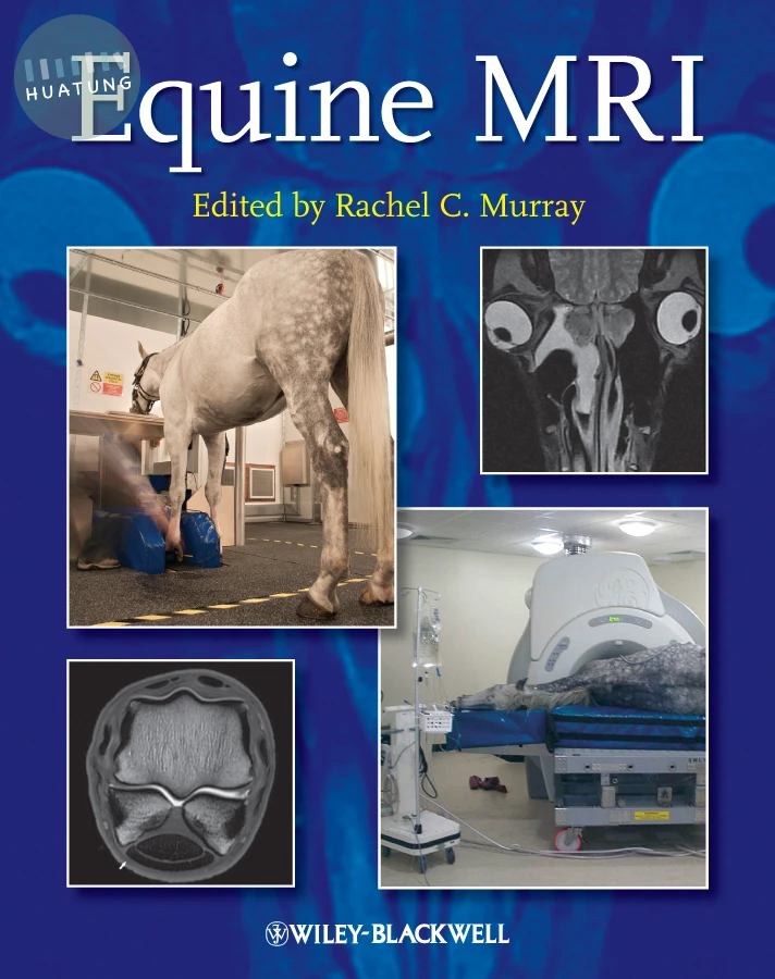 Equine MRI 