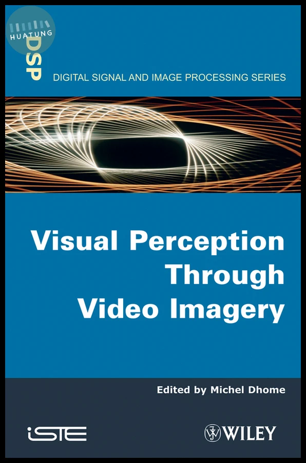 Visual Perception Through Video Imagery 