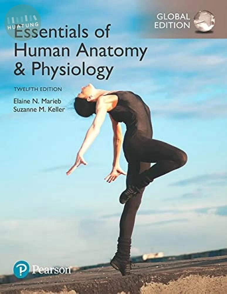 Essentials of Human Anatomy & Physiology (12版)
