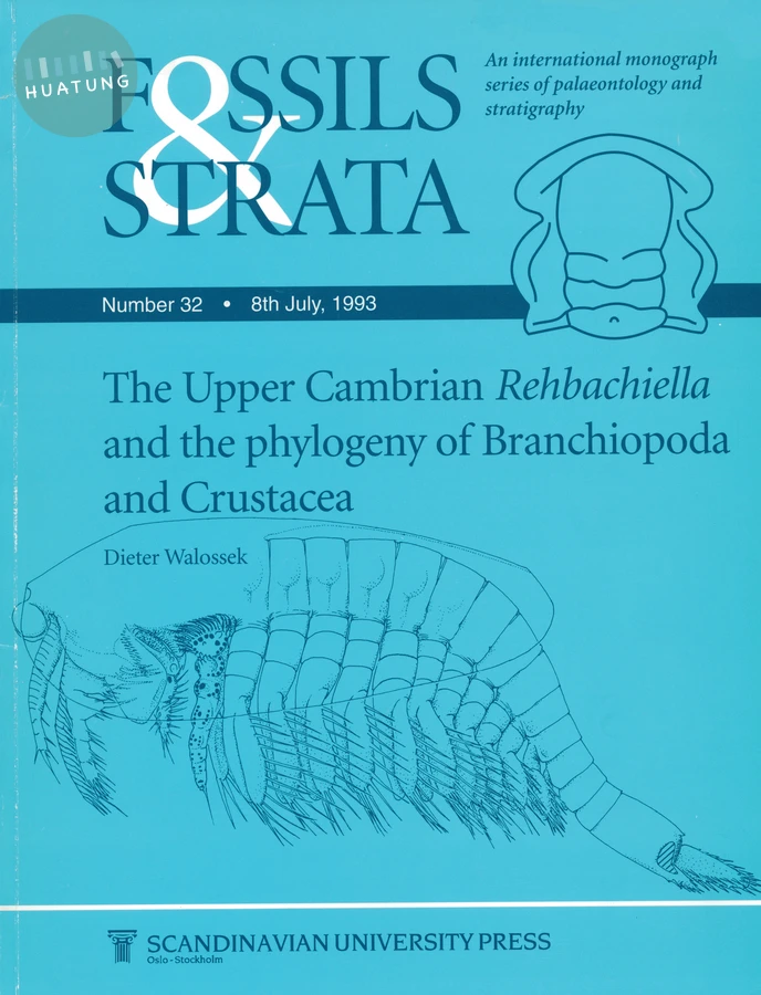 Upper Cambrian Rehbachiella and the Phylogeny of Brachiopoda and Crustacea 