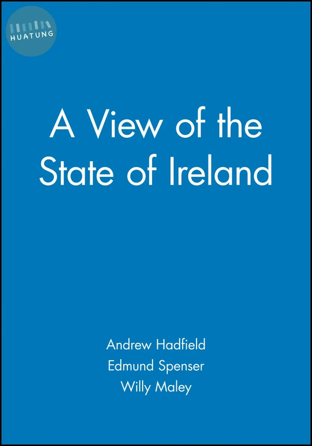 A View of the State of Ireland 