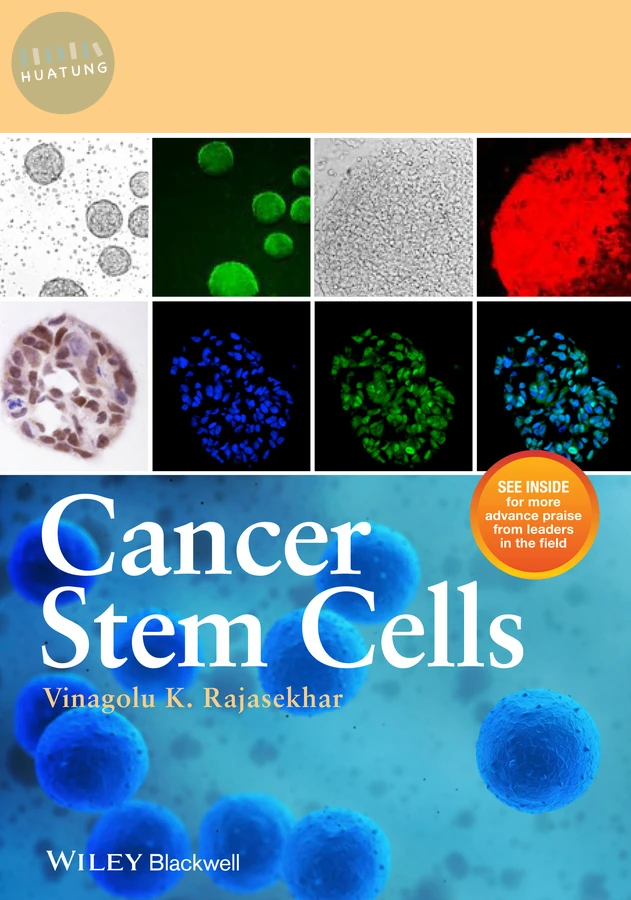 Cancer Stem Cells 