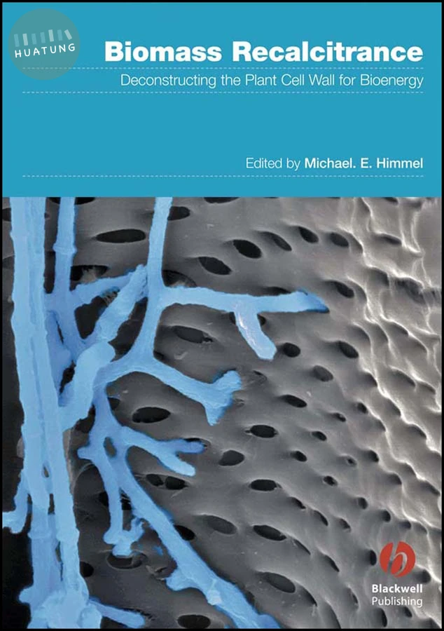 Biomass Recalcitrance 