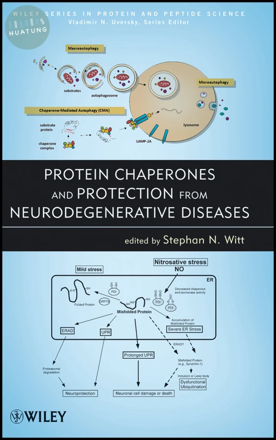 Protein Chaperones and Protection from Neurodegenerative Diseases 