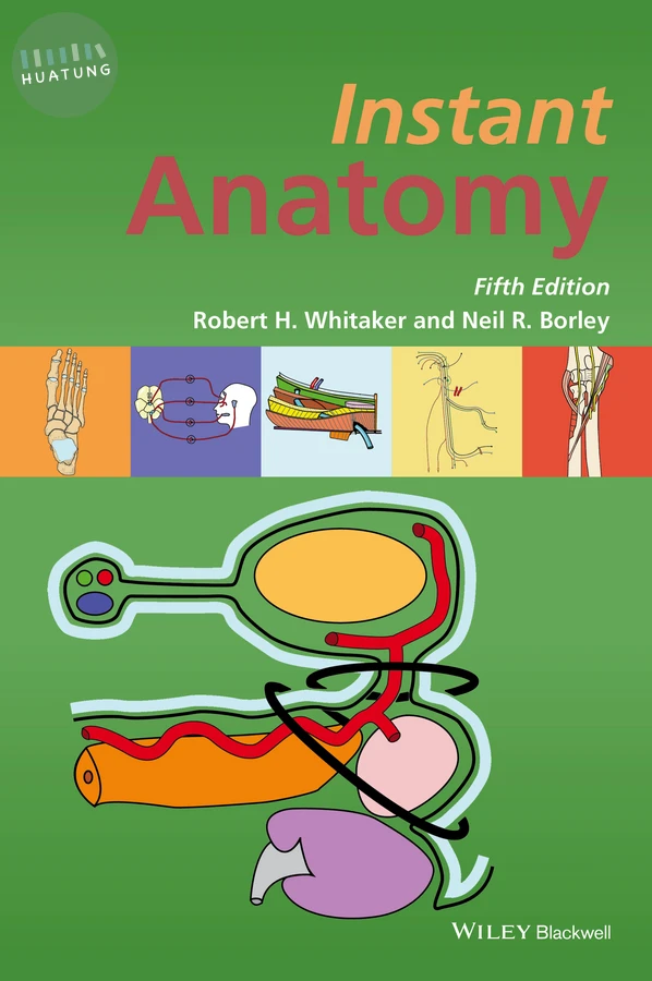 Instant Anatomy 