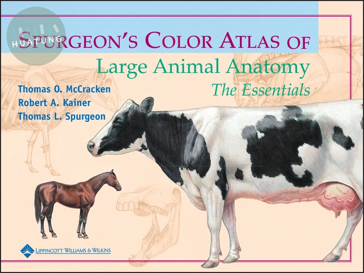Spurgeon's Color Atlas of Large Animal Anatomy 