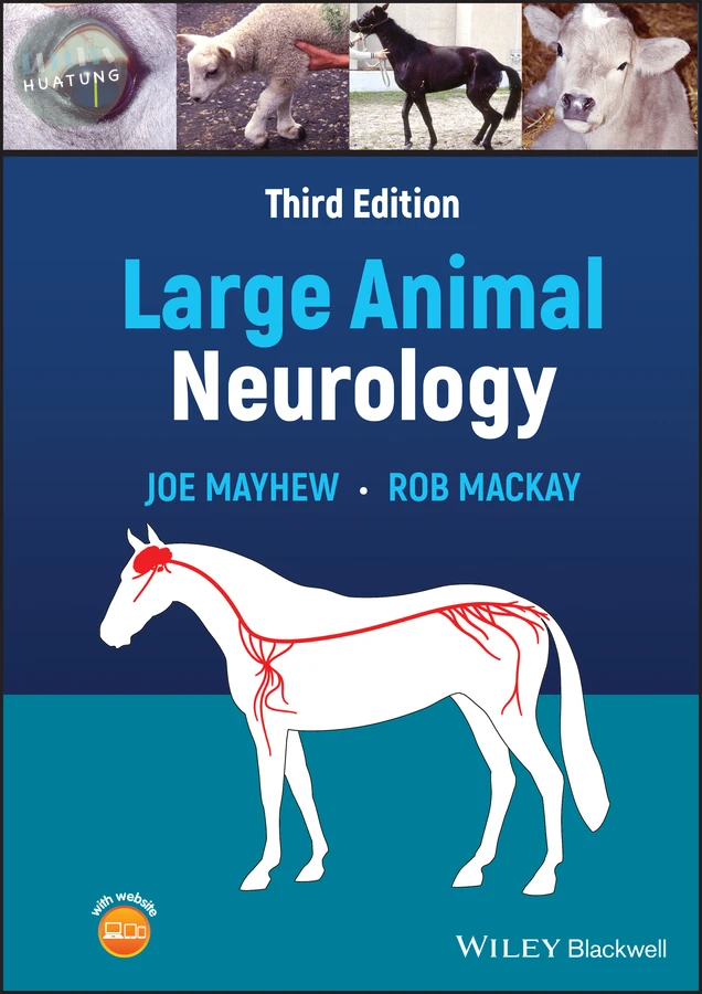 Large Animal Neurology 