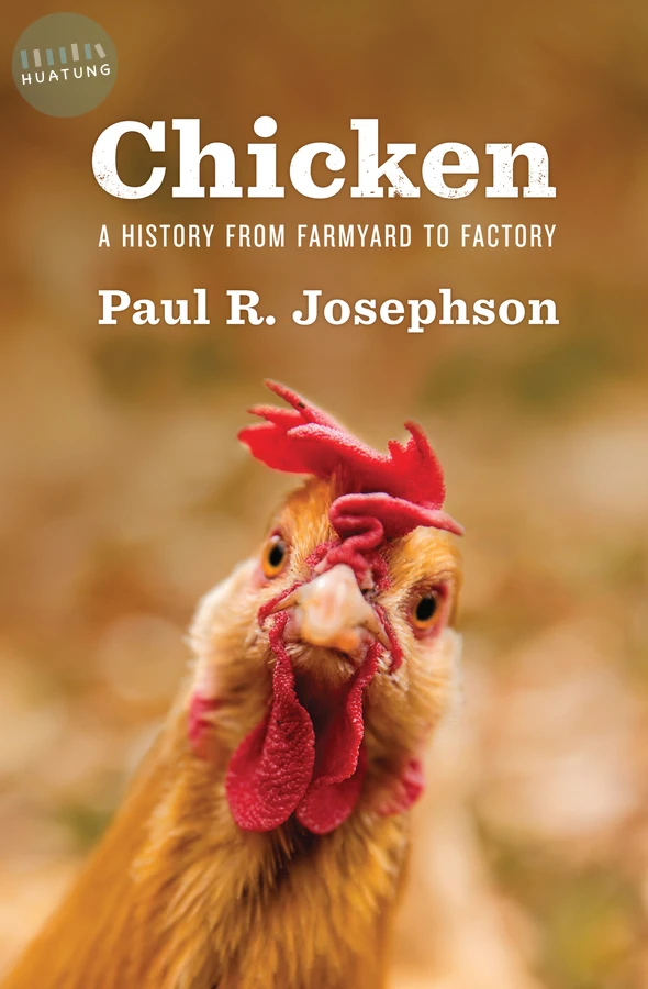 Chicken 
