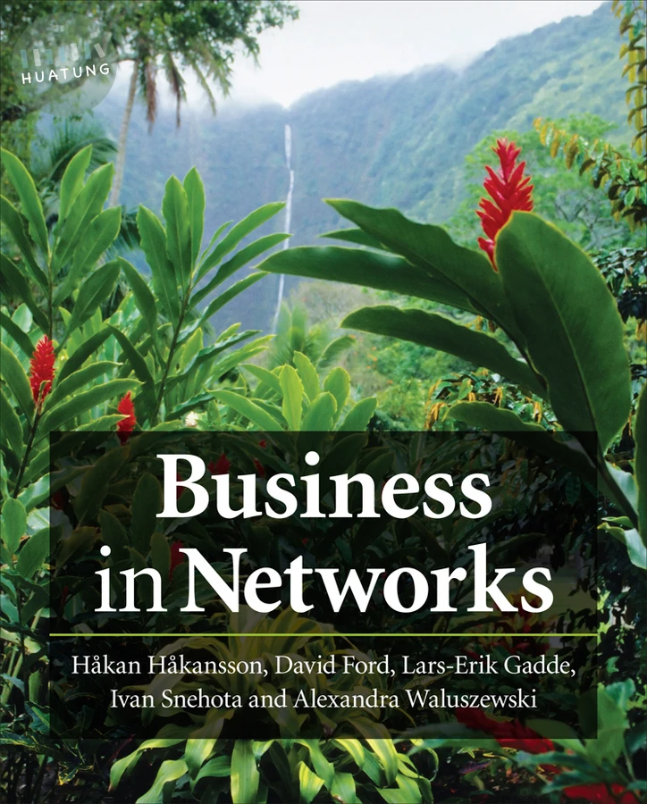 Business in Networks 